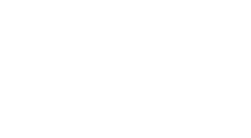 Cougar Digital Marketing logo